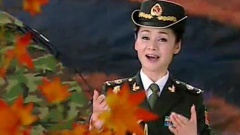 战友情