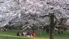 归省