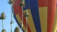 Hot Air Balloon