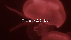 做朋友 官方歌词版