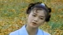 对你用真情