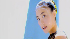 开到荼蘼