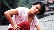 玫瑰玫瑰我爱你