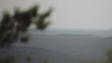 Wildfires (Light It Up)