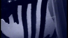 A Letter To Elise