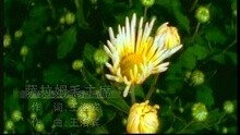 萨拉姆毛主席