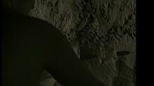 The Unforgiven II