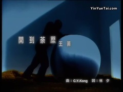 开到荼蘼