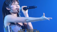 明星气场AKB