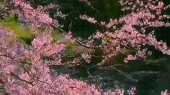 天堂之路