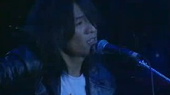 那些花儿