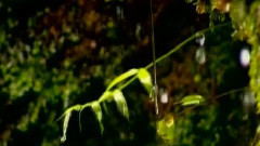 雨中飘荡的回忆