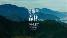 刘思涵；一个人的森林；德布西森林；