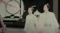 白芍花开