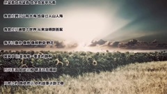 平凡之路