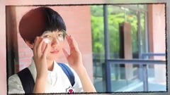 tf家族