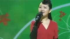 我在春天等你