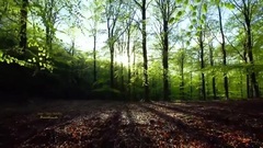 Broceliande