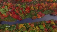 Goodbye Lady Autumn