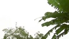 看不见的风景