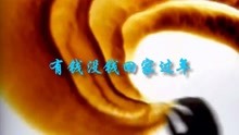 《有钱没钱回家过年》