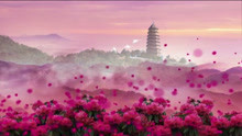 《山丹丹花开红艳艳》