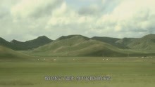 《你不像她》