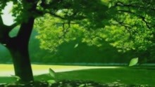孙燕姿《一样的夏天》