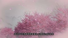 伊能静《生日快乐》