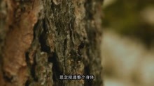 《七天七世纪》