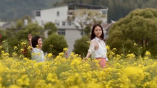 许嵩《有何不可》