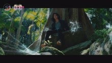  - 最好听的欧美抖腿神曲