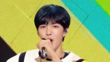 MXM - YAYAYA