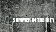 Summer In Brooklyn