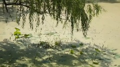 变幻之风