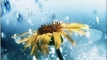 久石让《The Rain》 饭制版