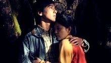 王菲《致青春》 电影《致青春》主题曲 沙画版