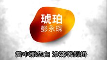 彭永琛 - 琥珀