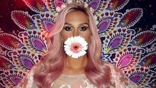 Kesha - Lover 试听版