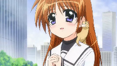Judgelight