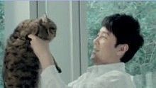 蔡国庆《小猫》