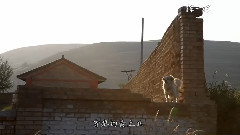 挥一挥手