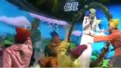 春天在哪里
