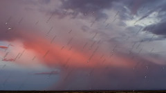 Indian Summerrain